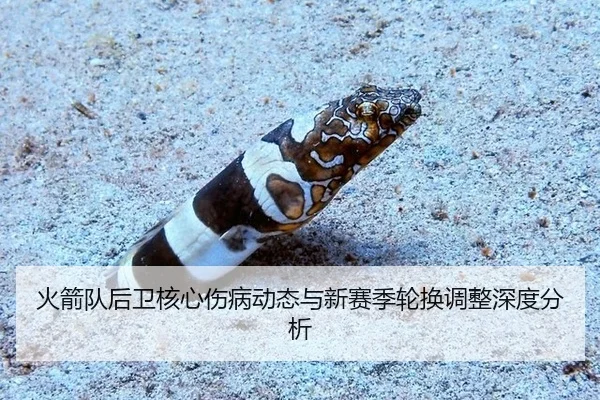 火箭队后卫核心伤病动态与新赛季轮换调整深度分析