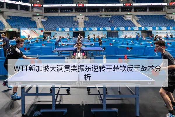 xin-jia-po-da-man-guan-fan-zhen-dong-ni-zhuan-wang-chu-qin-fan-shou-zhan-shu-fen-xi-2-867.jpg