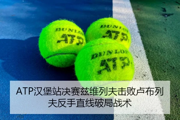ATP汉堡站决赛兹维列夫击败卢布列夫反手直线破局战术